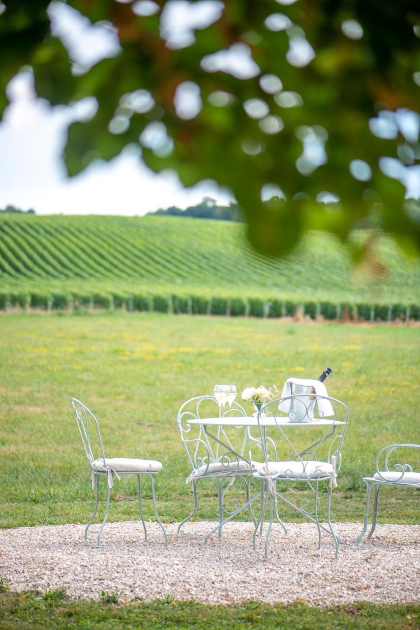 L' Ecrin Des Vignes Bed & Breakfast Sermiers Exterior foto