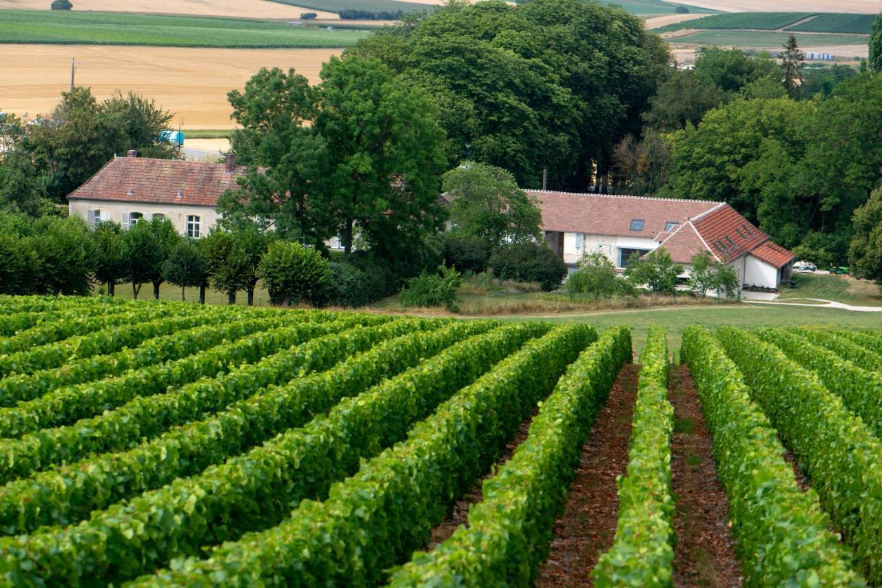 L' Ecrin Des Vignes Bed & Breakfast Sermiers Exterior foto